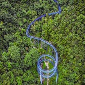 天空树观景塔+玻璃水滑,小蛮腰观景塔,年轮观景