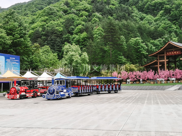 无轨观光火车,天河大峡谷景区观光火车厂家,旅游中型观光火车价格