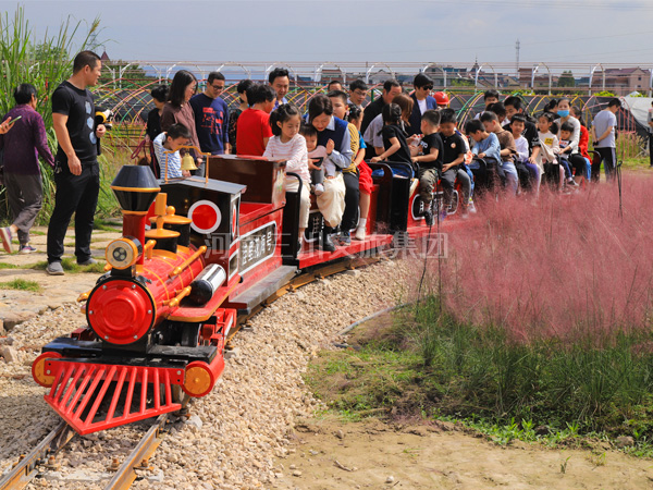 网红迷你小火车,景区网红迷你小火车厂家,旅游网红迷你小火车价格